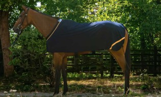 Herbb Classique Coton Couverture
