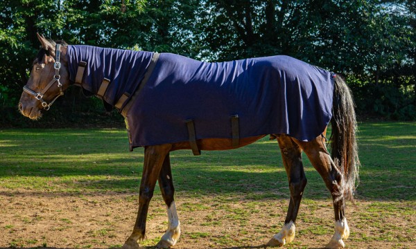 Herbb ® Coton couverture y compris le cou